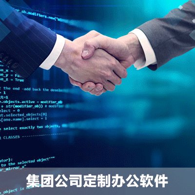 集团公司定制办公系统软件